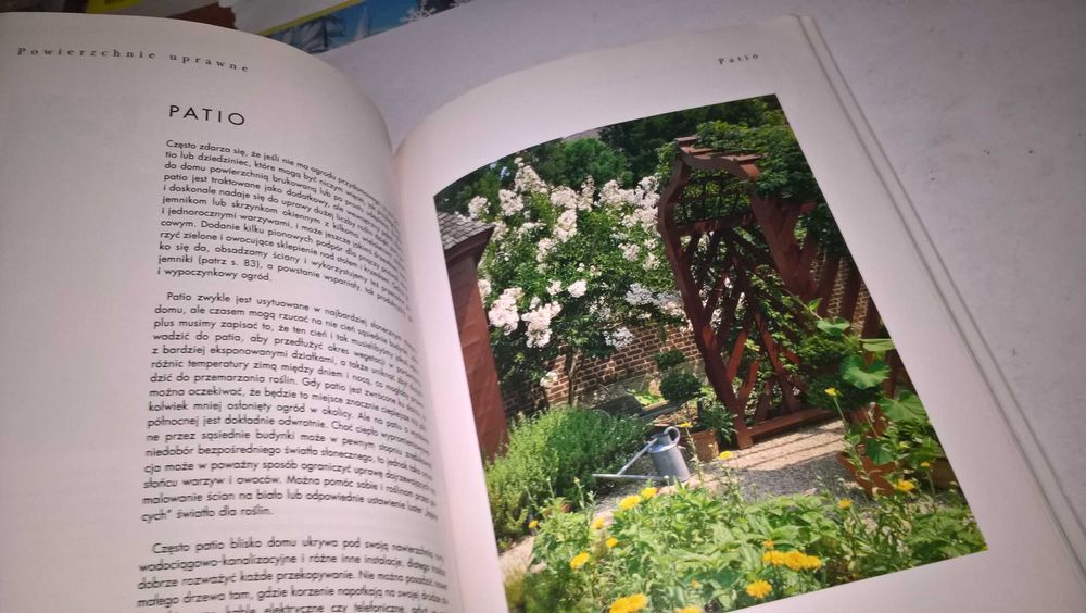 Jadalne rośliny w pojemnikach
Michael Guerra