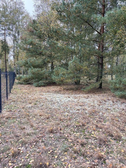 Działka budowlana z WZ