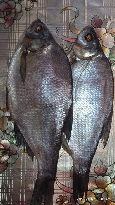 Продам в'ялену рибу лящ 250гр.кг.