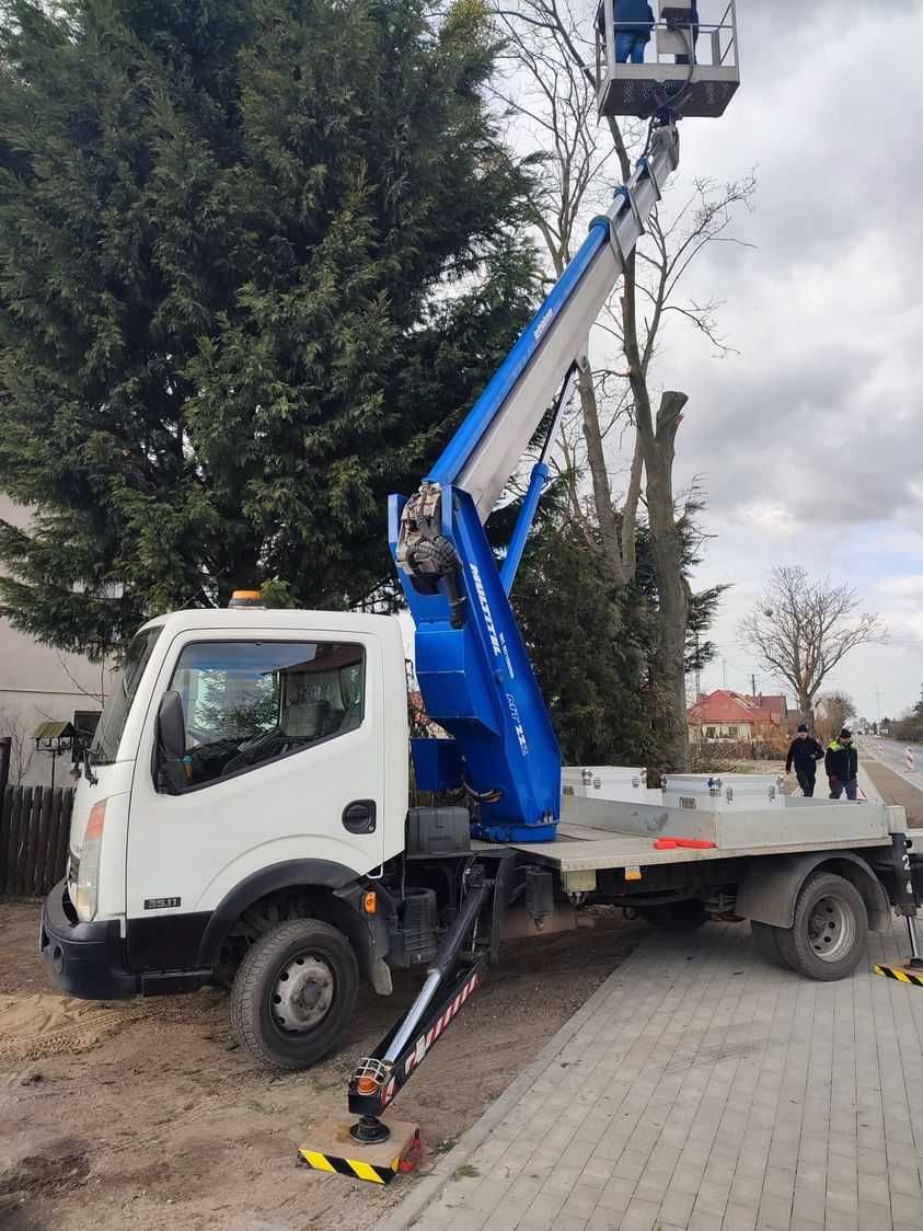 Wynajem Podnośnik Koszowy - USŁUGI ZWYŻKA Wycinka drzew