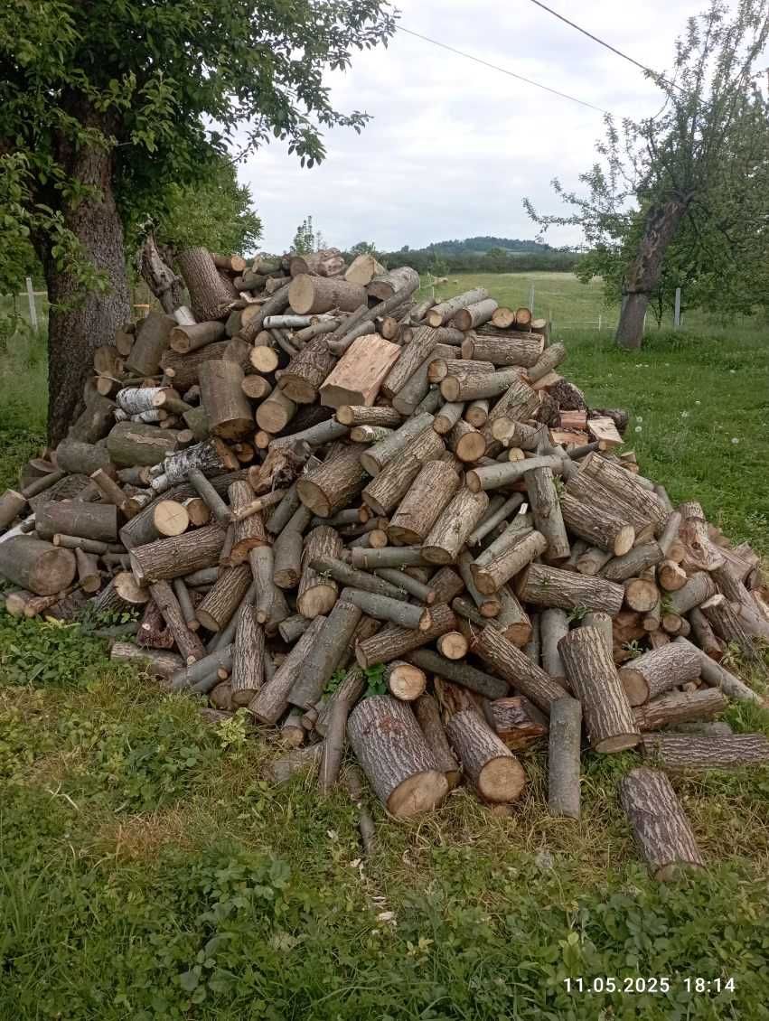 Drzewo opałowe pociete