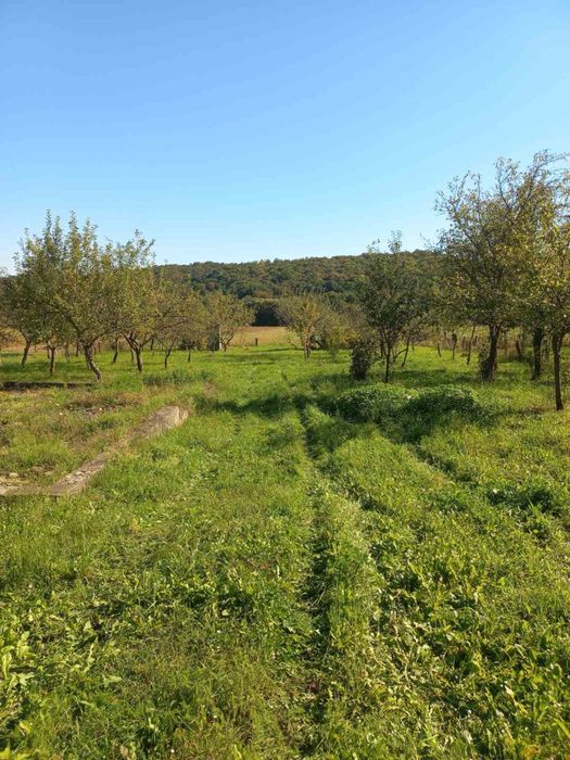 Продам будинок в с. Трійця (Коломийський р-н)