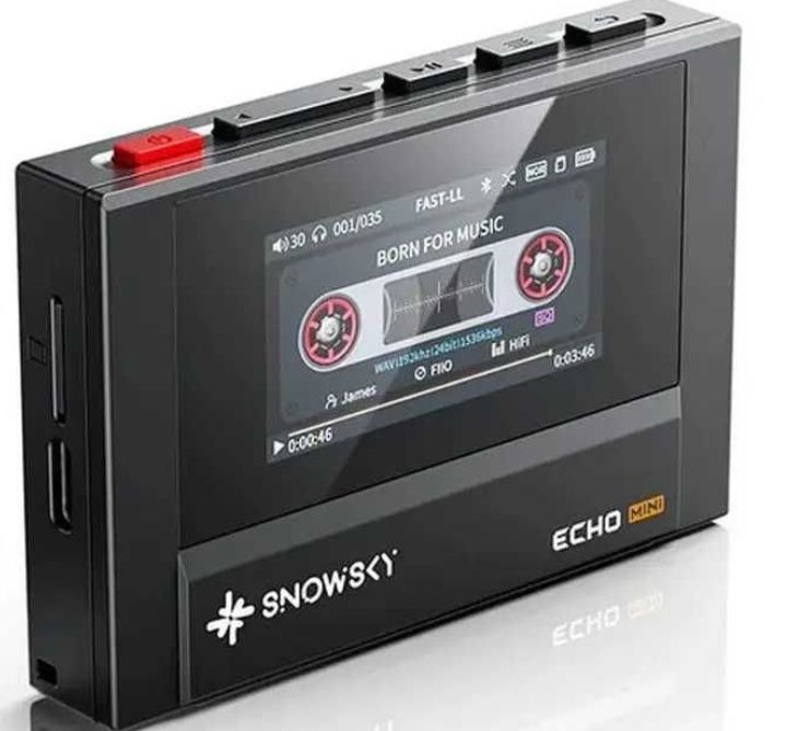 Fiio snowsky echo mini