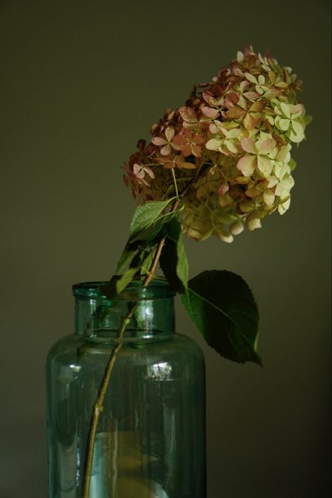 Wielki słój wazon vintage szkło butelkowa zieleń