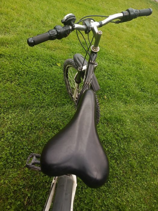 Rower górski Raptor - sprawny, gotowy do jazdy! 550 zł