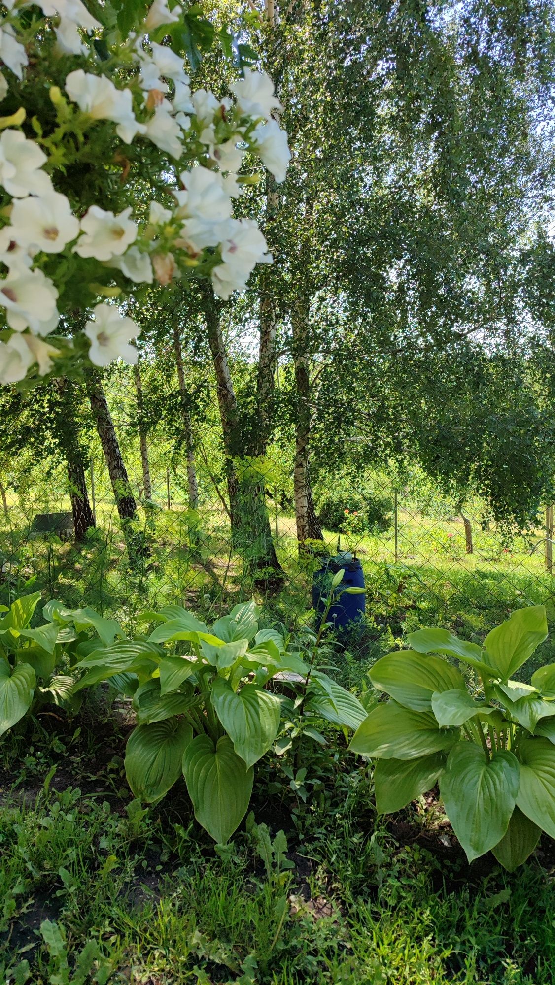Продаж будинку 143 м², 4к. ж/м Парус, Діївка 1 (Новокодацький р-н)