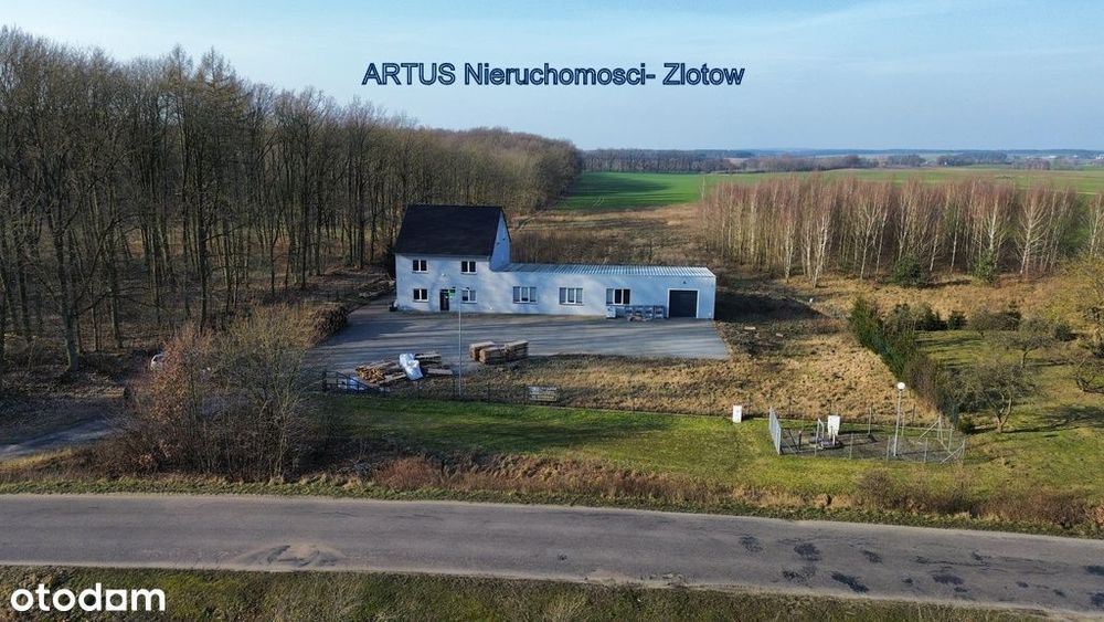 Budynek usługowo-mieszkalny, duża działka- Francis