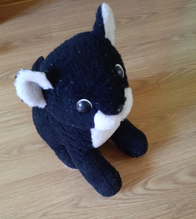 Maskotka pluszak kot duża 40cm