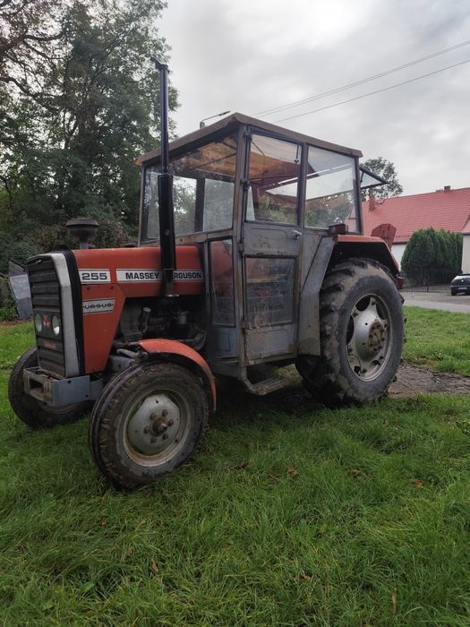 Massey Ferguson MF255
