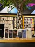 New iPhone 16/16 Plus/16e/16 Pro/16 Pro Max Купуй в Ябко!