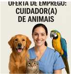 Pet sitting nas férias