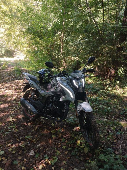 Продам мустан мт 250,25 року