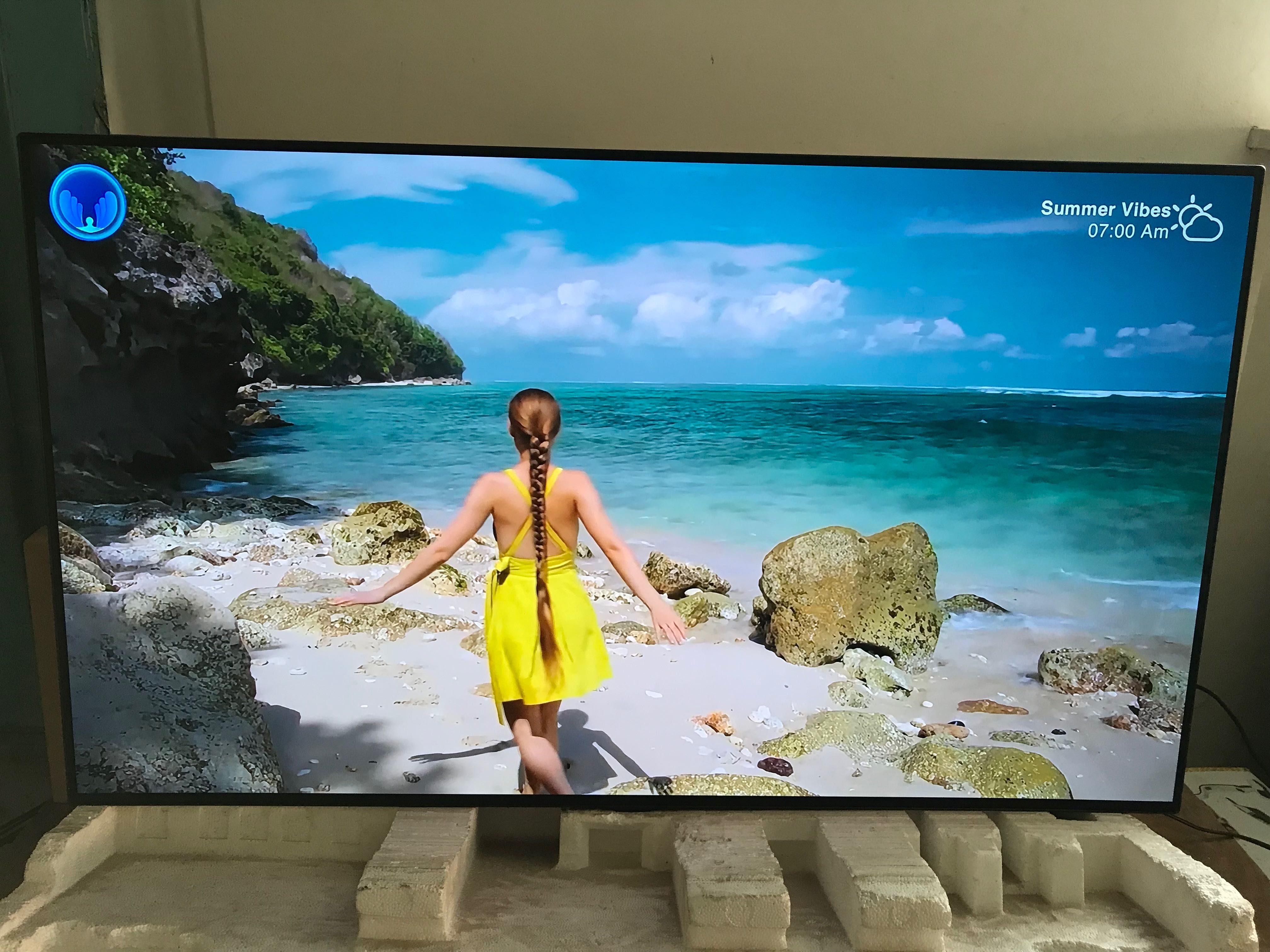 Lg oled 48a19  smart