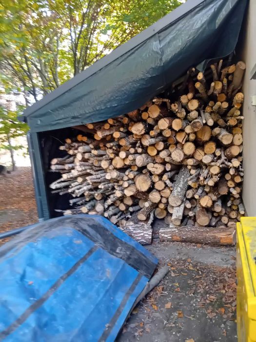 Drewno opałowe brzoza