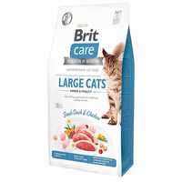 Сухой корм для котов крупных пород Brit Care Cat GF Large cats 2 кг.