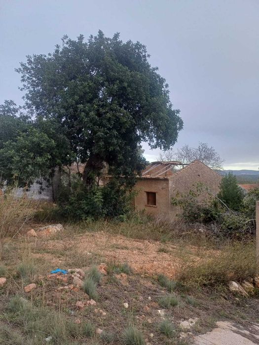 Terreno com Duas Ruínas para Desenvolvimento Messines de Baixo Algarve