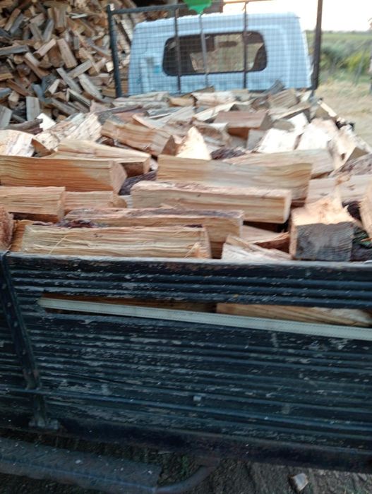 Carga lenha carvalho eucalipto pinheiro