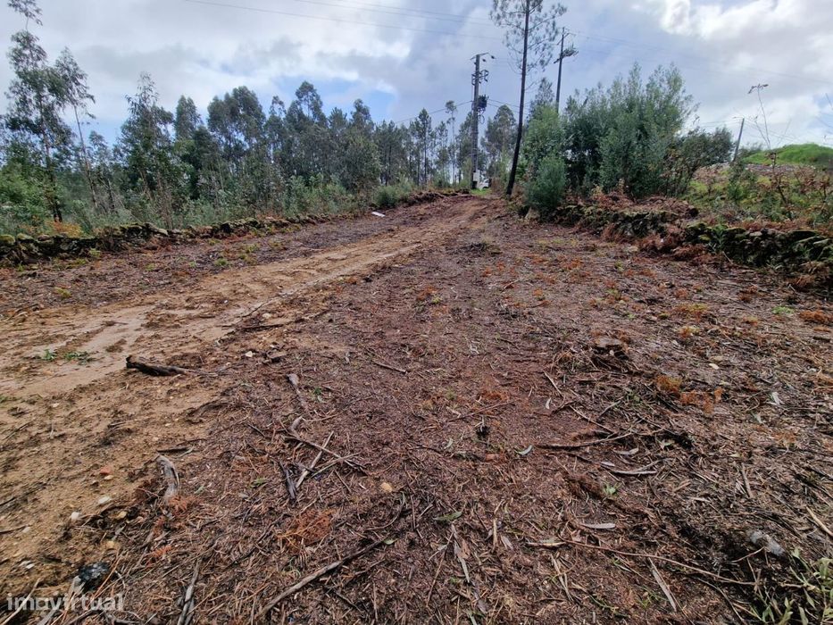 Fantastico Terreno em Lobão