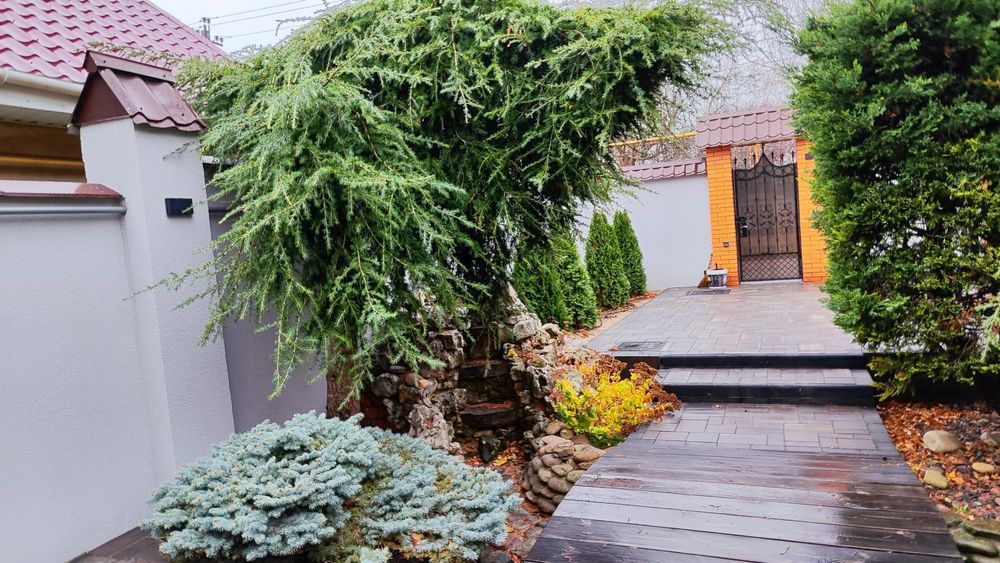 Дом на Даче Ковалевского (155-512)