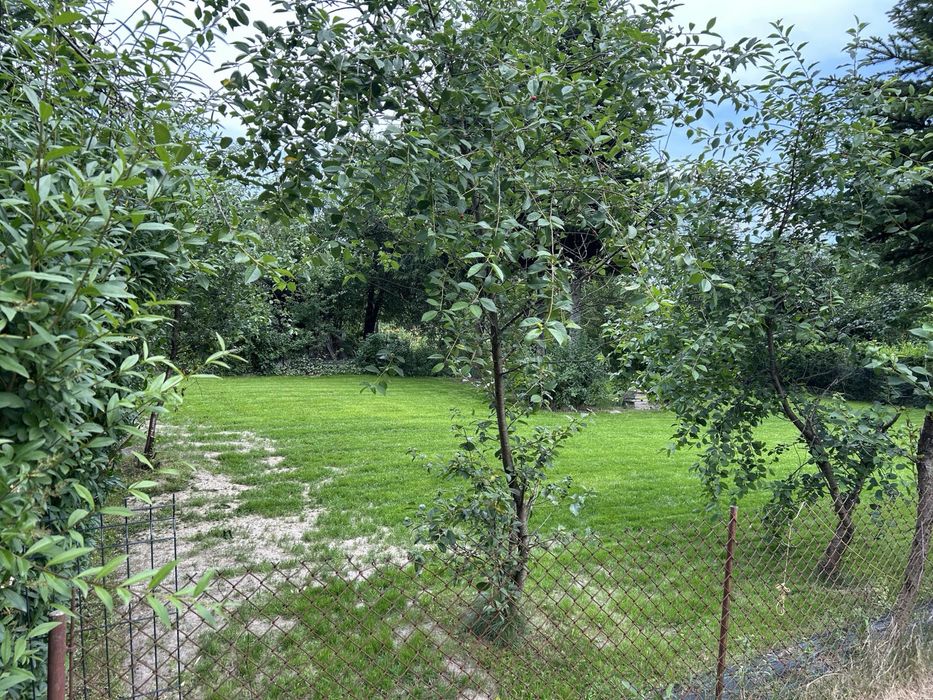 Dzialka rekreacyjna ROD Narcyz Kielce Lesniowka pow.300 m2