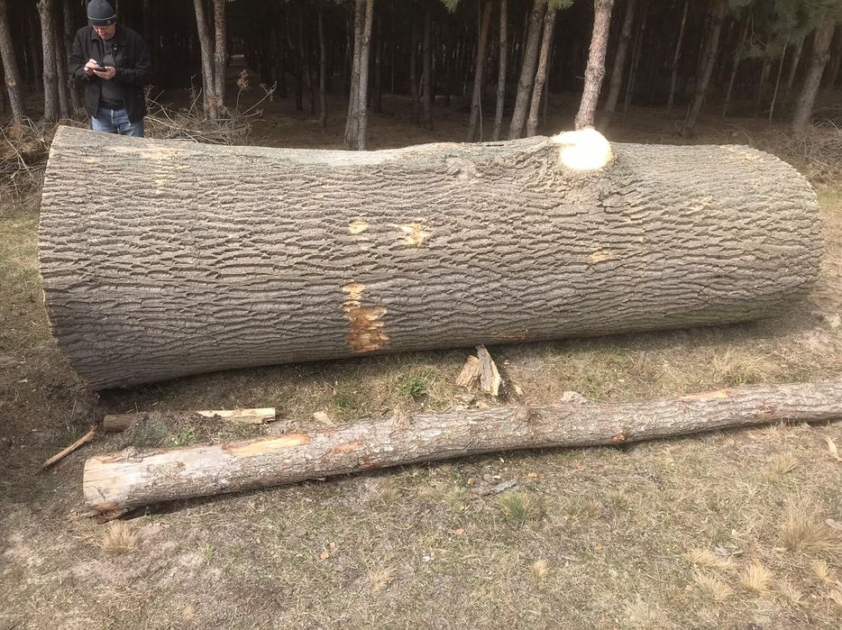 Слеби з ясена шириною метер +