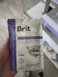 Karma Brit gastrointestinal mokra