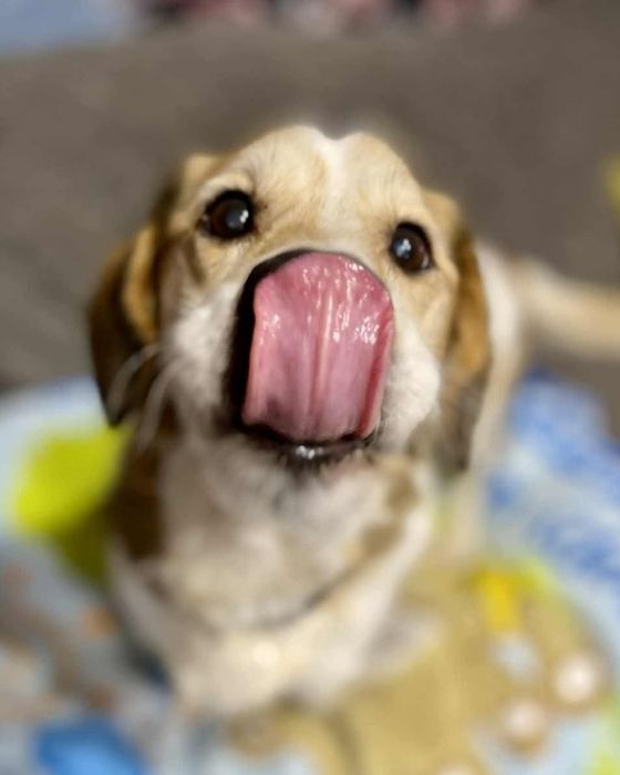 SOFI sunia spragniona szczęścia