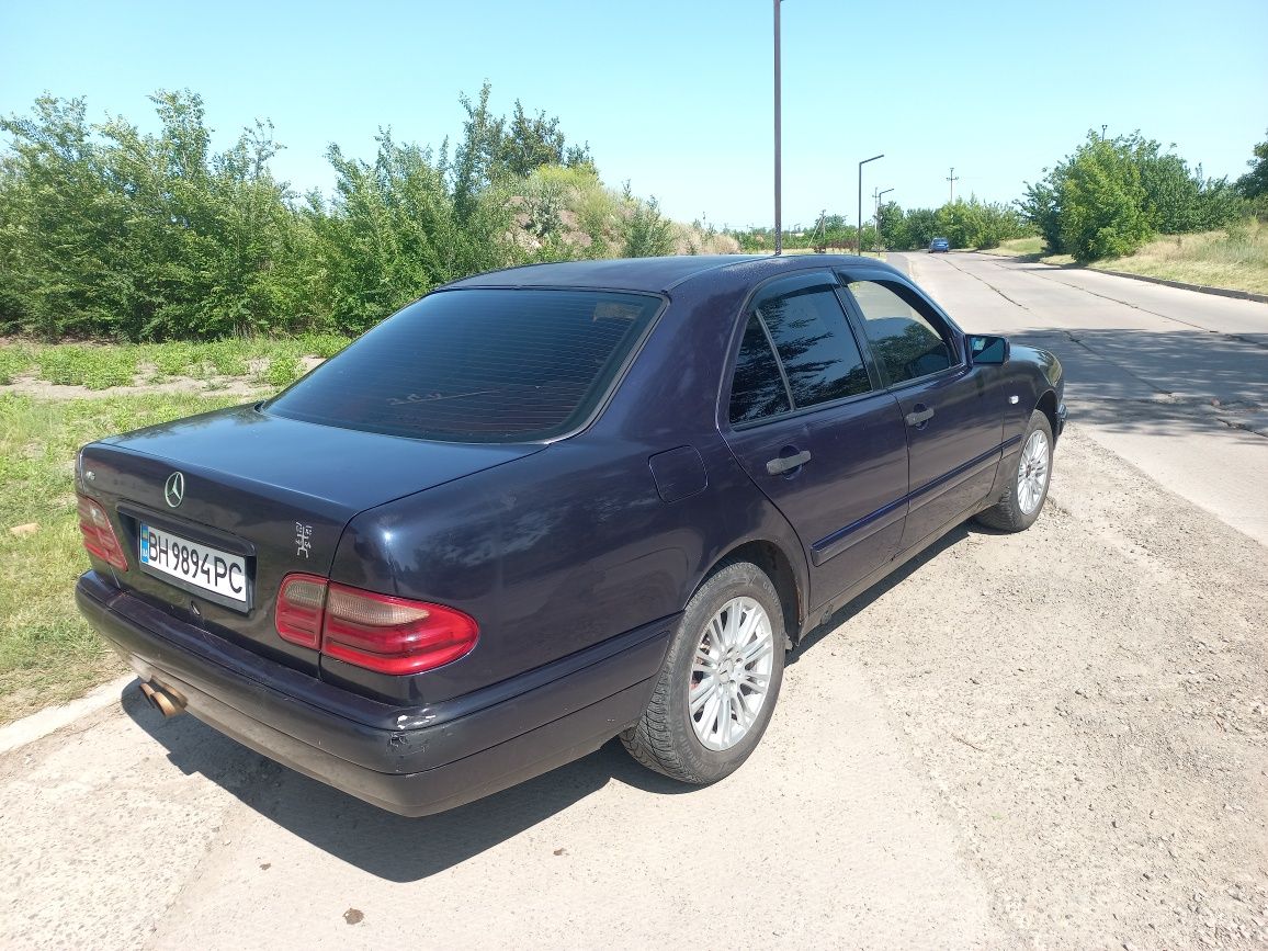 Продам лупатого или обмен.
