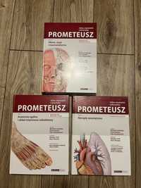 Prometeusz Atlas anatomii 1-3 mianownictwo angielskie