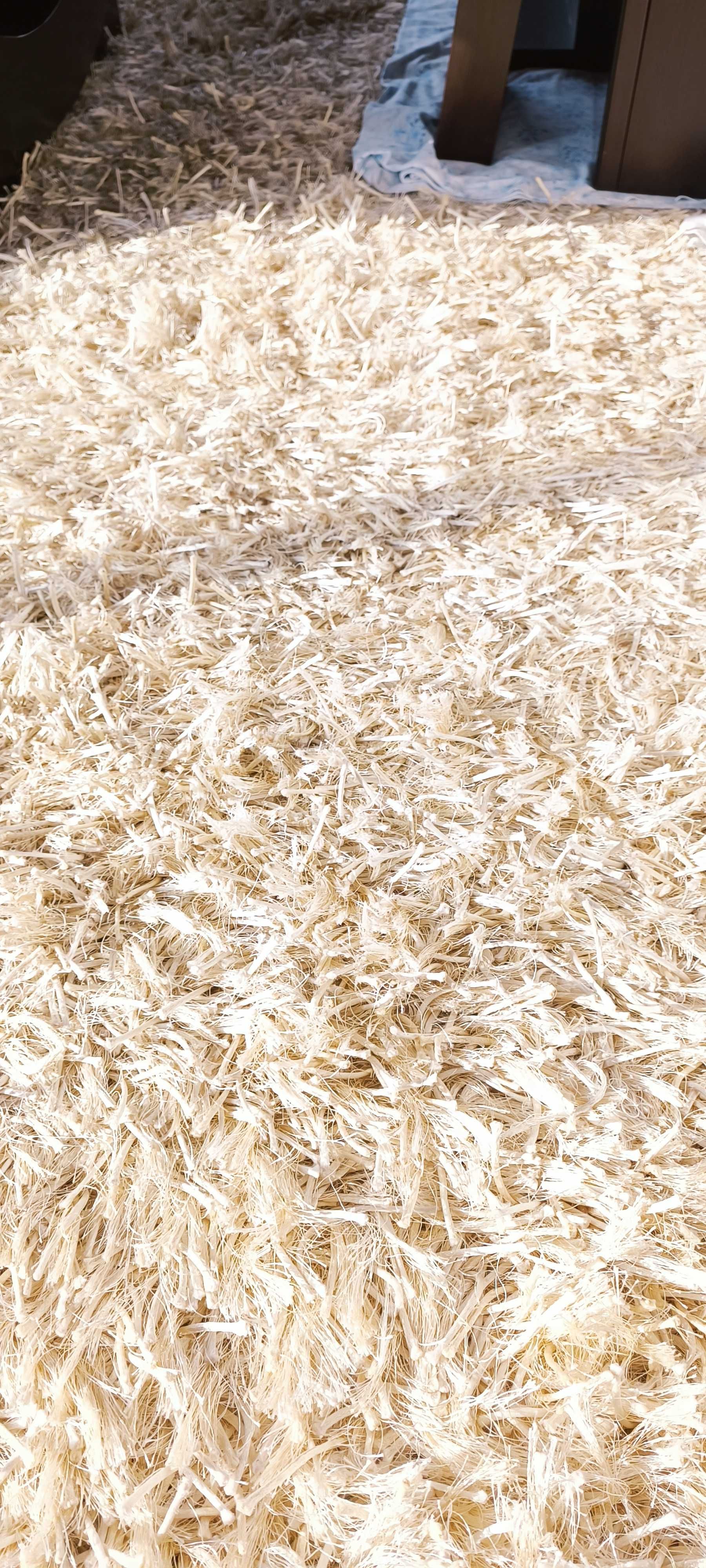 Carpetes grandes para sala