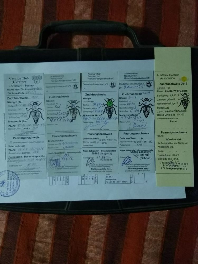 Бджоломатки Карніка Рауш (Raush) Німеччина, матка, бджоли