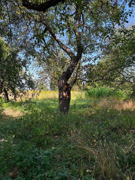 Продаж землі під забудову Гаразджа