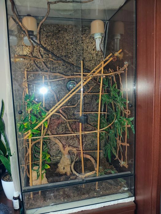 Terrarium dla kameleona duże
