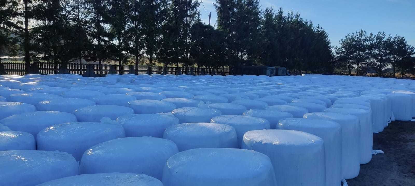 Sianokiszonka z żyta w belach Możliwość dostawy