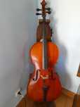 Violoncelo e acessórios