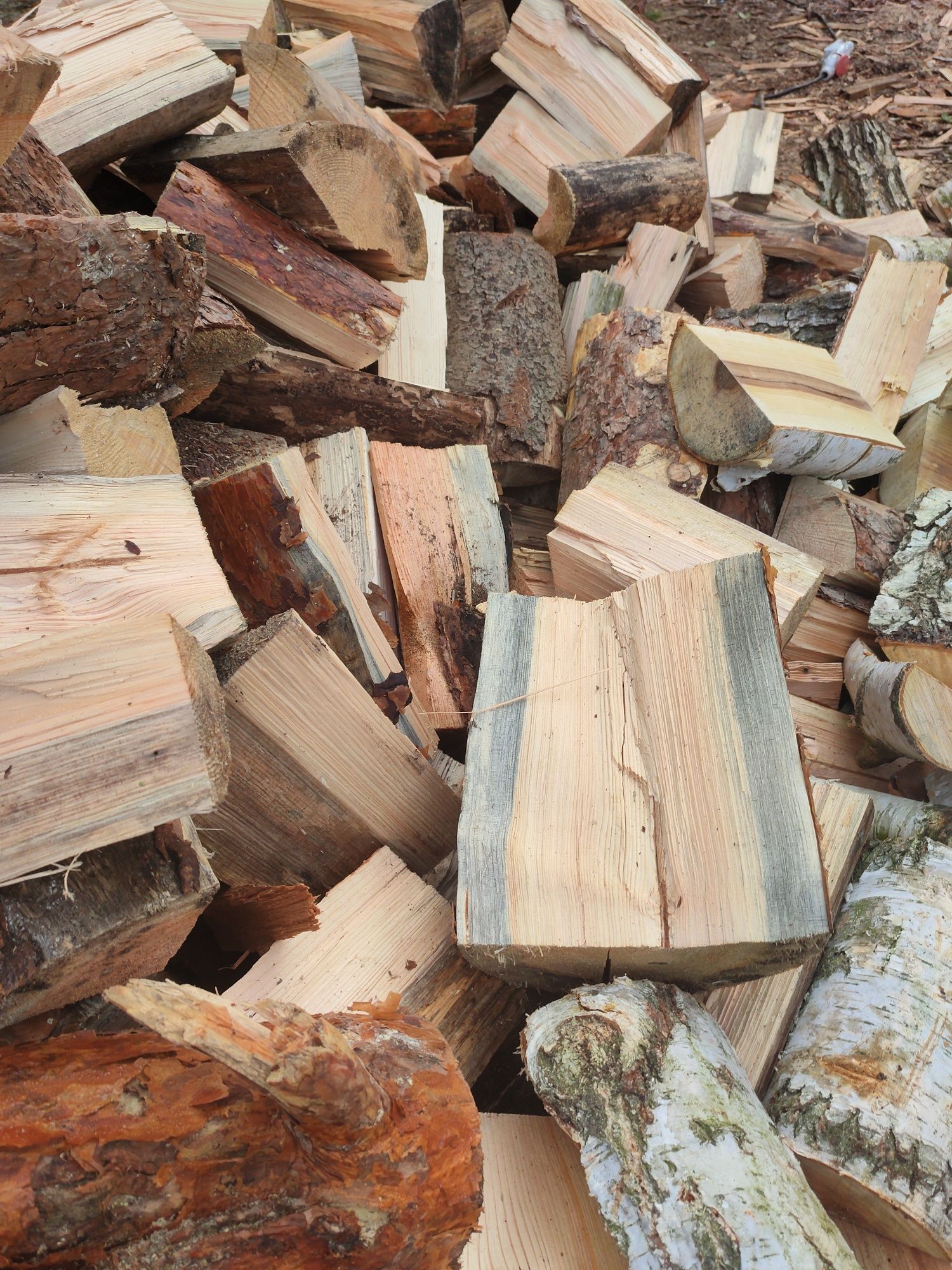 Drewno opałowe oraz kominowe Suche
