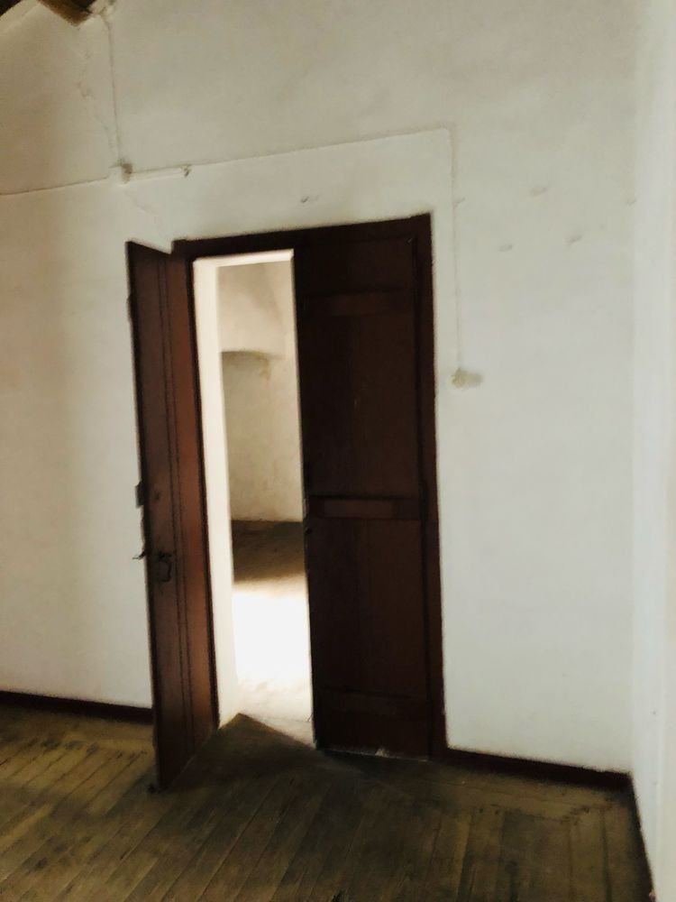 Monte Alentejano Histórico com 2 poços de Água, Oliveiras e 5.250 m²
