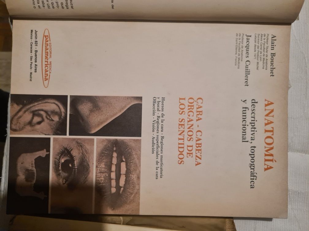 Anotomia Humana Tronco-Membros -Sistema Nervoso Central
