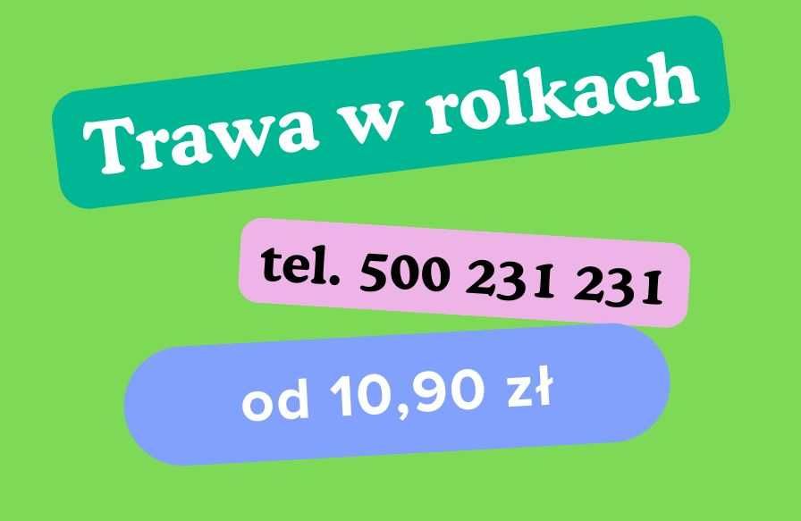 Trawa w rolkach z rolki trawnik. Zakładanie trawników. Od producenta