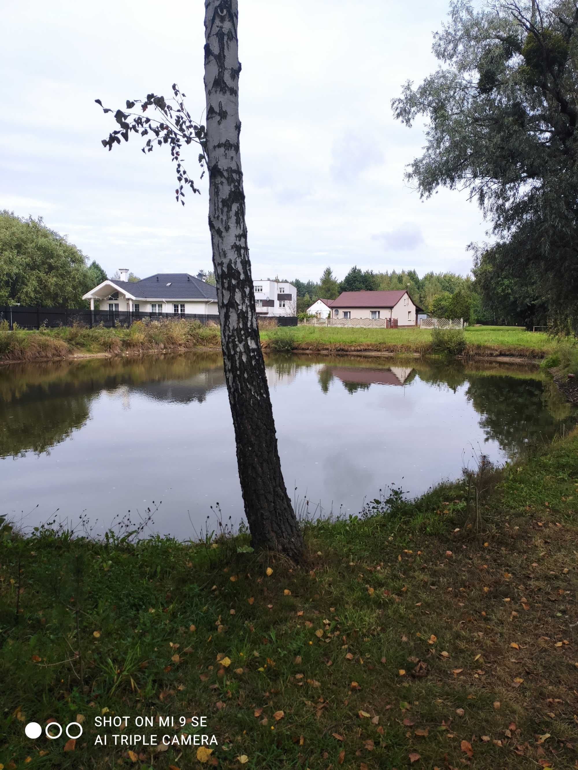 Działka ze stawem Augustów gm. Kowala/ powiat Radom