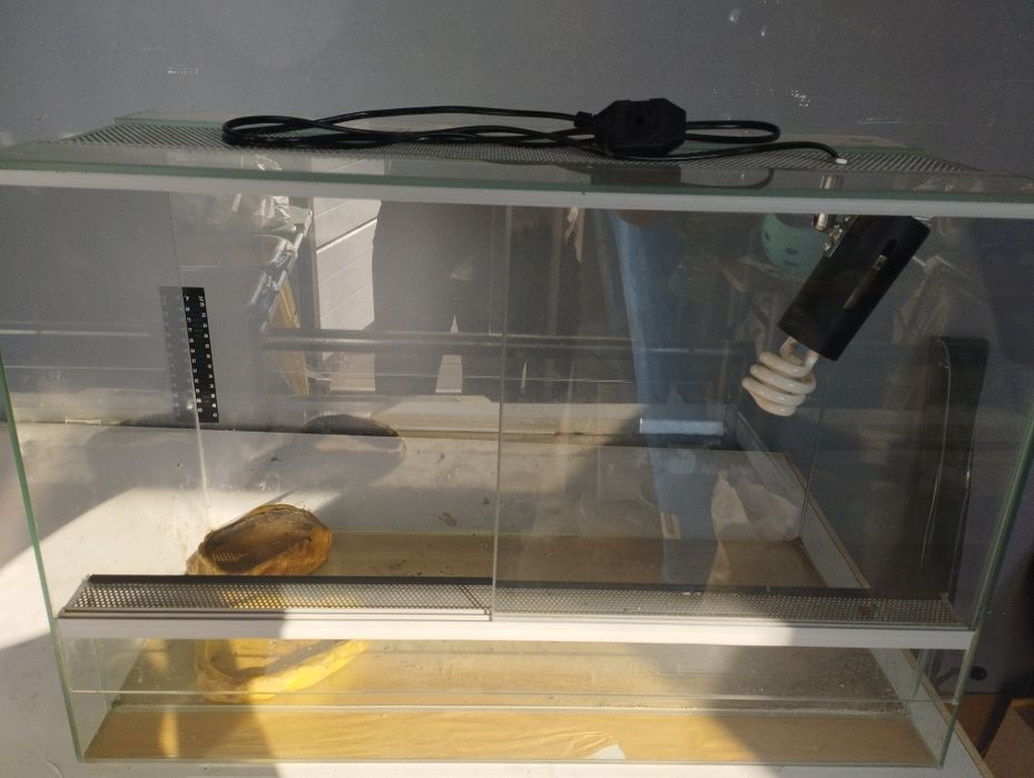 Terarium dla żółwia, węża.