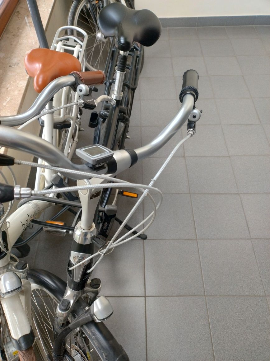 Męski Batavus mambo rozm. 57