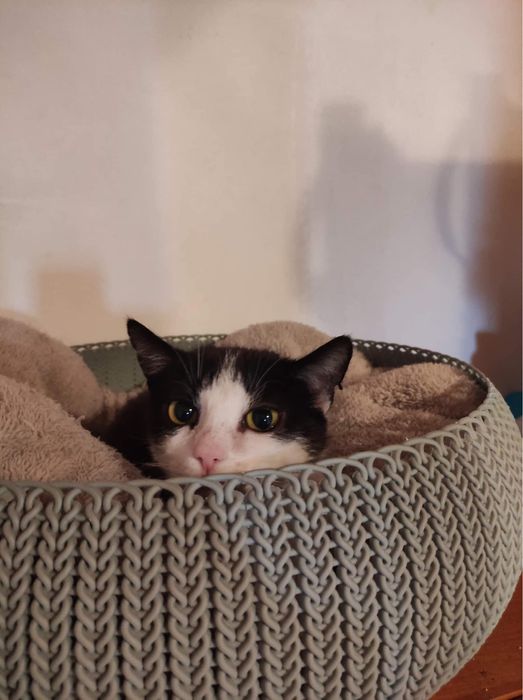 Cudowna Marylka szuka domku na zawsze