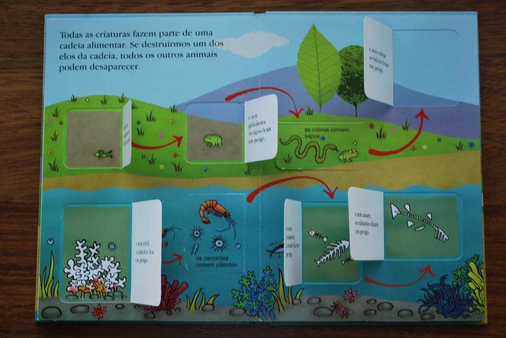 Sim eu Posso! Ajudar a Salvar Os Animais de Emma Brownjohn