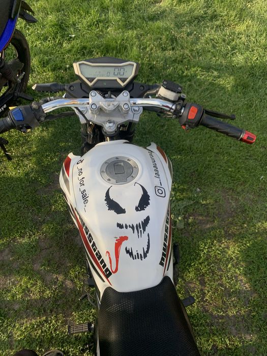 Мустанг Регион 200 | Musstang Region 200