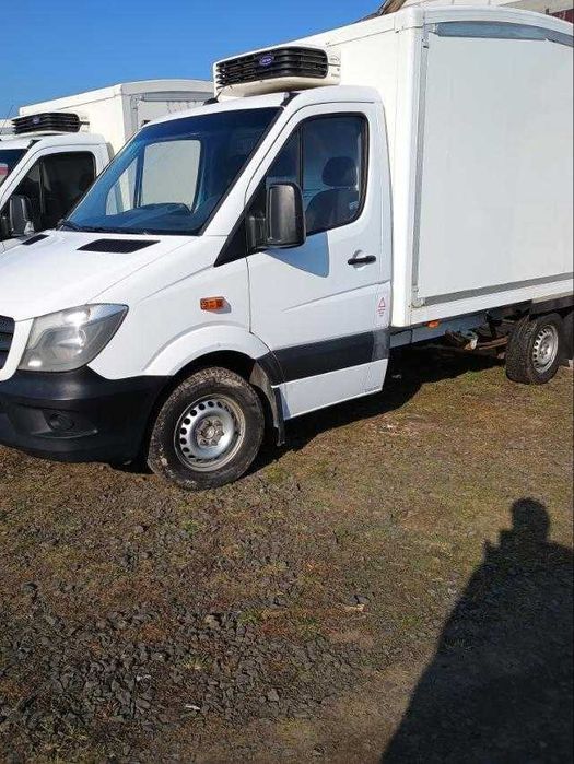 Спрінтер реф 2015р