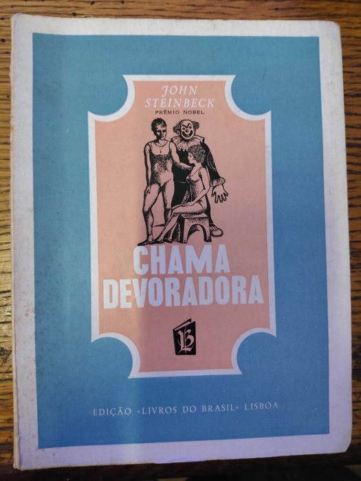 Varios livros de coleçoes da  editora livros do brasil