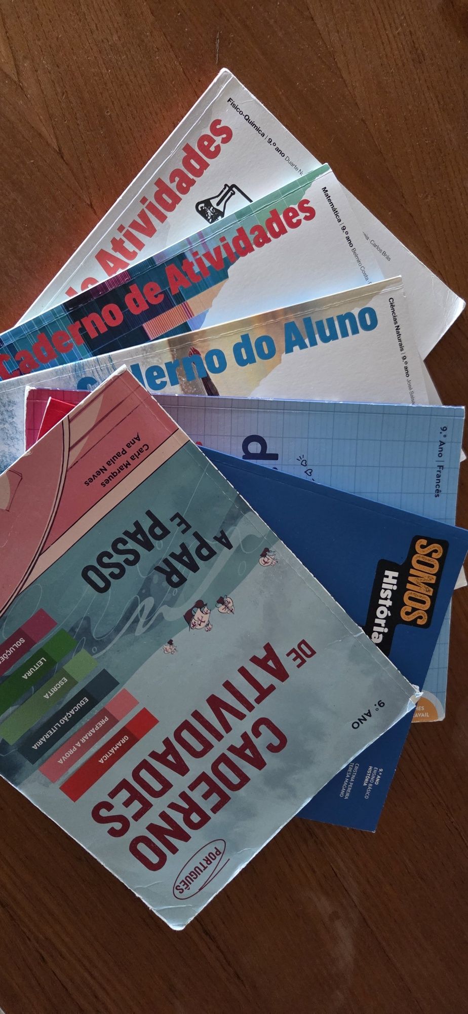 Cadernos de actividades 9°ano