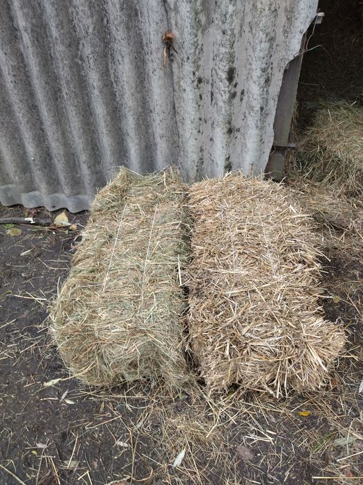 Продам тюки сіна і соломи за детальною інформацією звертайтесь за номе