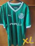 Camisola futebol palmeiras